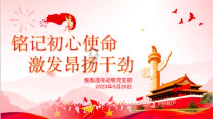 奥森弗里